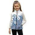 thumbnail image 1 of Pzuqiu Leopard Print Boys Sleeveless Vests Size 11-12 Versatile Warm Winter Lightweight Sleeveless Fleece Jacket with Pocket Full Zip Fall Outfits Fashion Clothing for Daily Life, 1 of 7