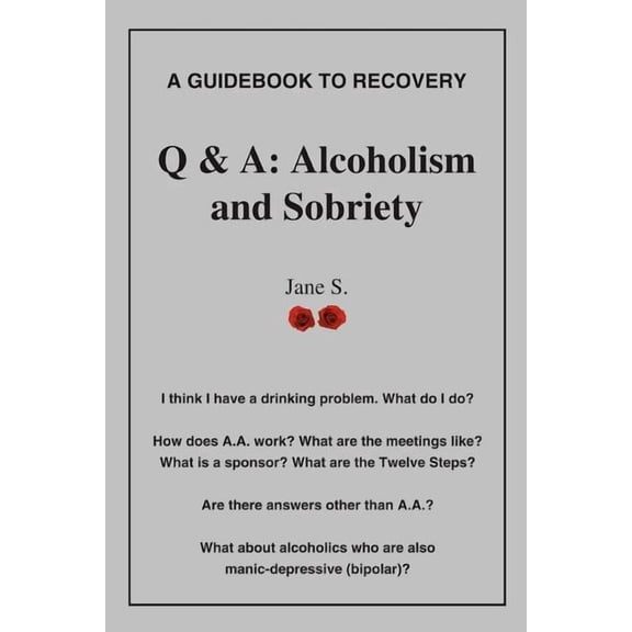 Q A: Alcoholism and Sobriety Paperback Jane Lobdell
