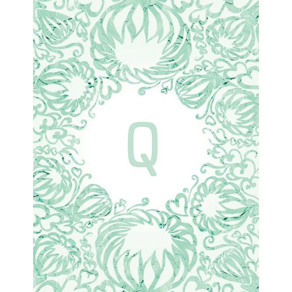 Q (Paperback)