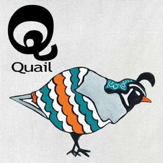 Q - Quail Canvas Art - Shanni Welsh (24 x 24)