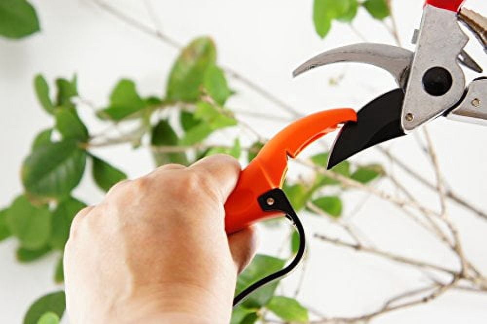 Q-yard QY-007A Handheld Multi-Sharpener for Pruning Shears, Garden