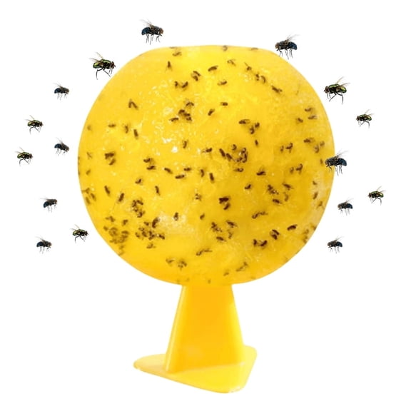 QARUN 1Pc Fruit Fly Traps Ball,Citrus Shaped Fruit Fly Traps,Flying Insects Ball for Indoor Outdoor House Kitchen Plants Trees Flying Insects (3.2 Inch)