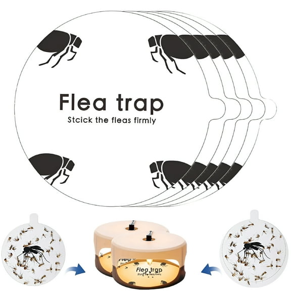 QARUN 2026 New Flea Trap and Stick Pads,Reusable Indoor Natural Flea Insect Catcher Bed Bug Trap with Glue,Non-Poisonous and Friendly to Children and Pets
