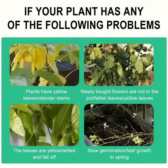 QARUN 2026 New Rooting Hormone for Cuttings,Plant Growth Activator Supplements - Boosts Rooting Hormones & Enhances Growth for Cuttings with Liquid Fertilizer Spray