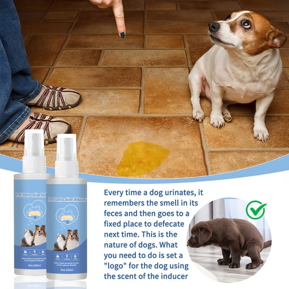 QARUN Dog Toilet Training Spray 100Ml-Puppy Potty Training Aid-Indoor Outdoor Pad Attractant-Behavior Correction Solution-Fast Housebreaking