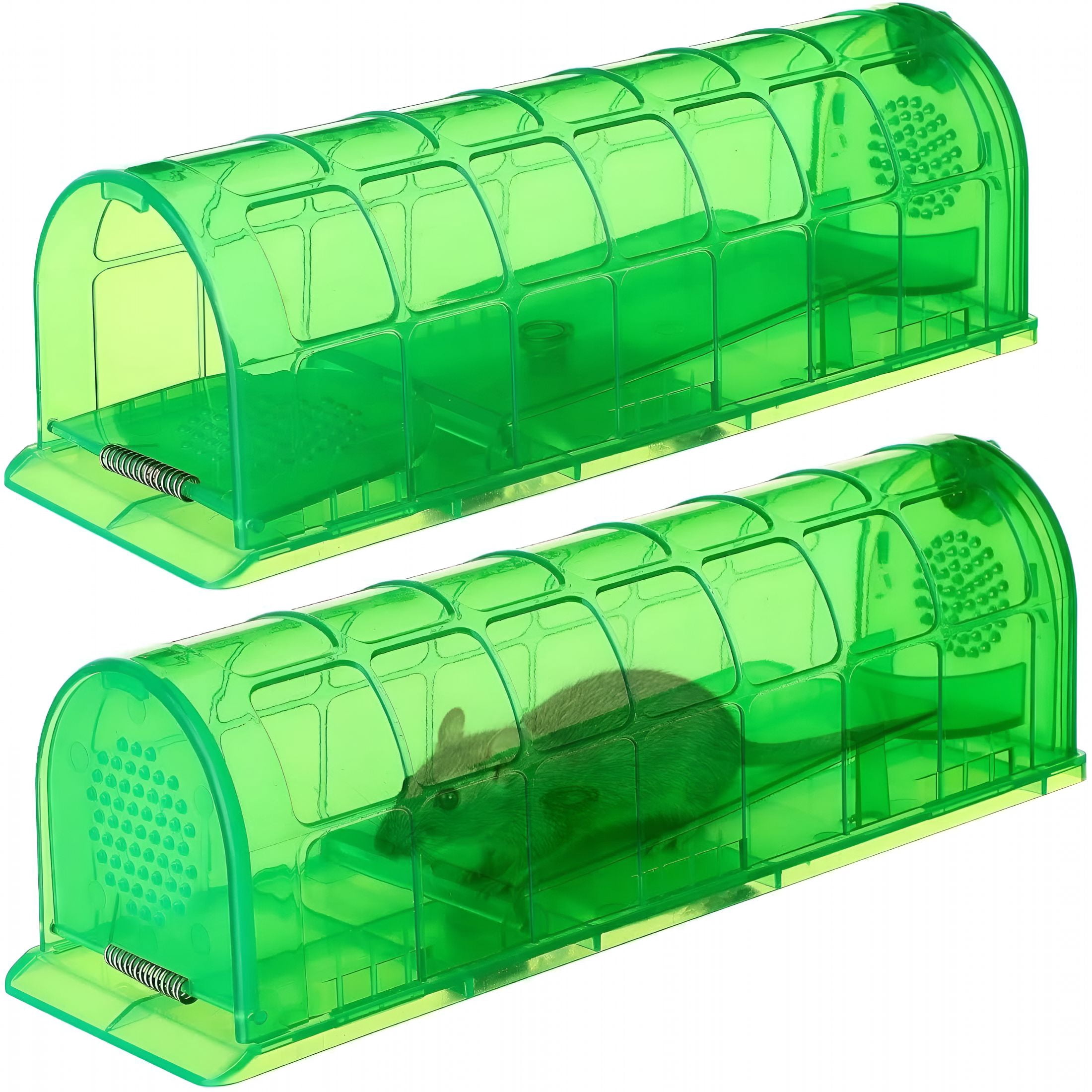 QARUN Humane Mouse Trap Indoor for Home,Live Catch and Release Rat Trap with Ventilated Chamber,2 Pack Reusable No Kill Mice Trap Outdoor,Green