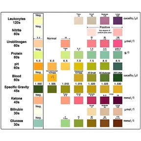 QARUN Multi Diagnostic Urine Test Strips, Accurate Convenient, Checks Glucose, PH, Protein and More