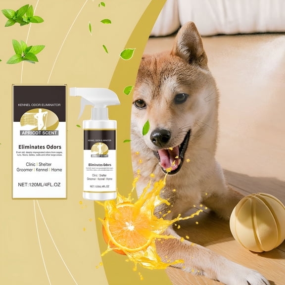QARUN Professional Pet Odor Eliminator Concentrate for Strong Urine Smells, Kennel & Home Odor Remover Spray with Non-Enzymatic Formula, Safe for Pets & Kids, Long-Lasting Deodorizer Solution