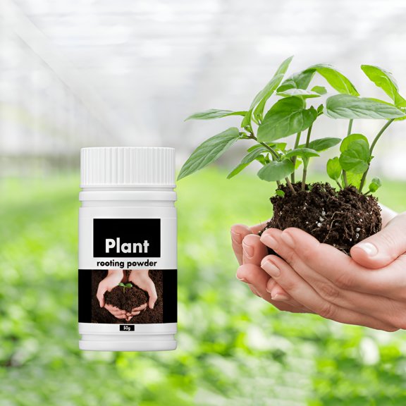 QARUN Rooting Powder - For Easy to Root Plants From Cuttings,Healthy,Transplanting Trees and Fruit Trees,Root Nutrition Powder,Plant Hair Roots Universal,1PCS (50g)