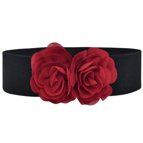QASIEATN Belt for Women Stretchy Belt for Dresses Vintage Elastic Wide Waist Belt Summer Spring Fashion Clothing Accessories
