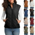 thumbnail image 1 of QATAINLAV Women's Lightweight Sleeveless Winter Jackets Casual Stand Collar Quilted Puffer Vest Zip up Warm Coats with Pockets, Black, L, 1 of 10