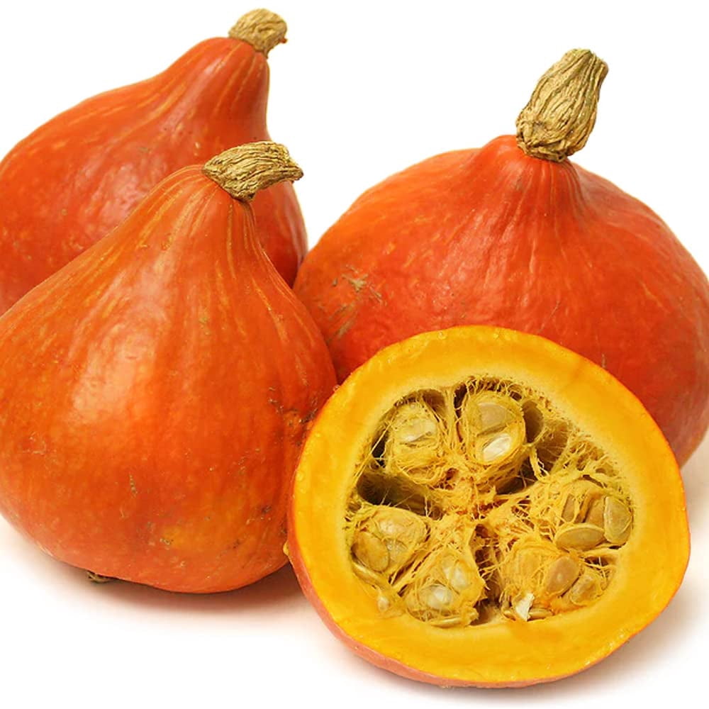 QAUZUY GARDEN 10 Red Kuri Squash Seeds, Japanese Kabocha Pumpkin - Non ...