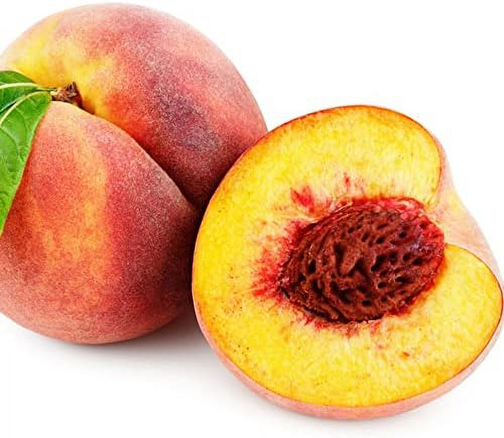 QAUZUY GARDEN 10 Seeds Dwarf Peach Fruit Tree Seeds NonGMO Seeds Early