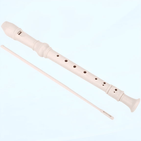 QAYOZ Recorder Instrument, 8 Holes High Pitch Soprano Recorder Detachable with a Cleaning Bar Plastic Recorder Flute ABS Musical Instruments for Kids and Adults Beginners