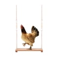 thumbnail image 1 of QBLEEV Chicken Swing Toy for Coop Natural Safe Wooden Accessories Large Durable Perch Ladder for Poultry Run Rooster Hens Chicks Pet Parrots Macaw Entertainment Stress Relief for Birds, 1 of 5