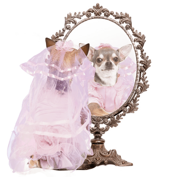 QBLEEV Dog wedding Dress for Bride Formal Pink Wedding Skirt with flounces and Veil for Small and Medium Dogs and Cats-M