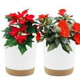 thumbnail image 1 of QCQHDU 2 Pack Plant Pot, 6.5 in White Plastic Indoor Planter with Drainage Holes and Removable Base, 1 of 7