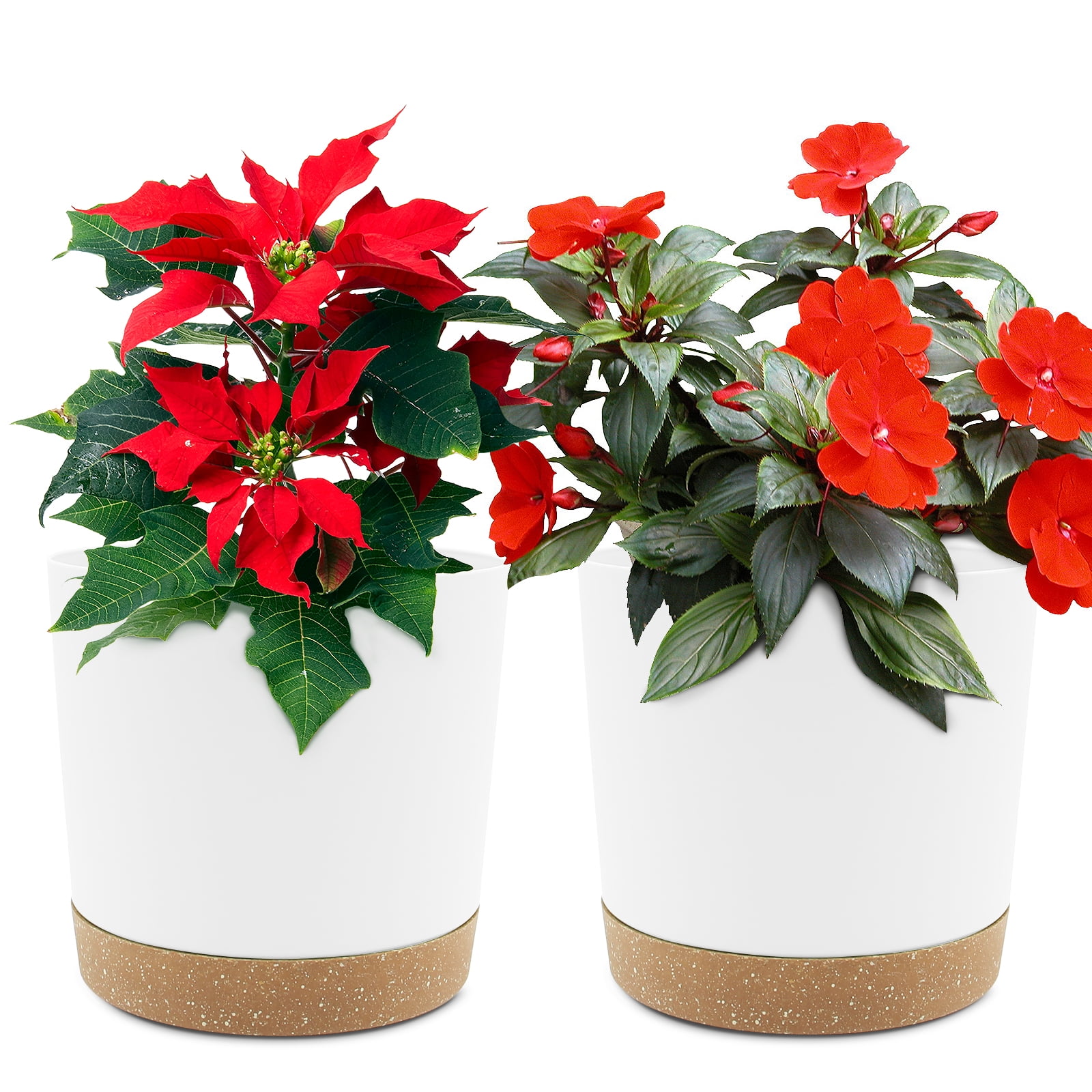 QCQHDU White Plastic Flower Pots, 6.5 Inch Indoor Planter with Drainage Holes and Removable Base, 2 Pack