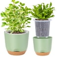 thumbnail image 1 of QCQHDU 7.2 Inch Self Watering Planters for Indoor Plants with Bottom Watering,2Pack Flower Plant Pots for Outdoor with Drainage, Durable Plastic planters Pots(Green), 1 of 6