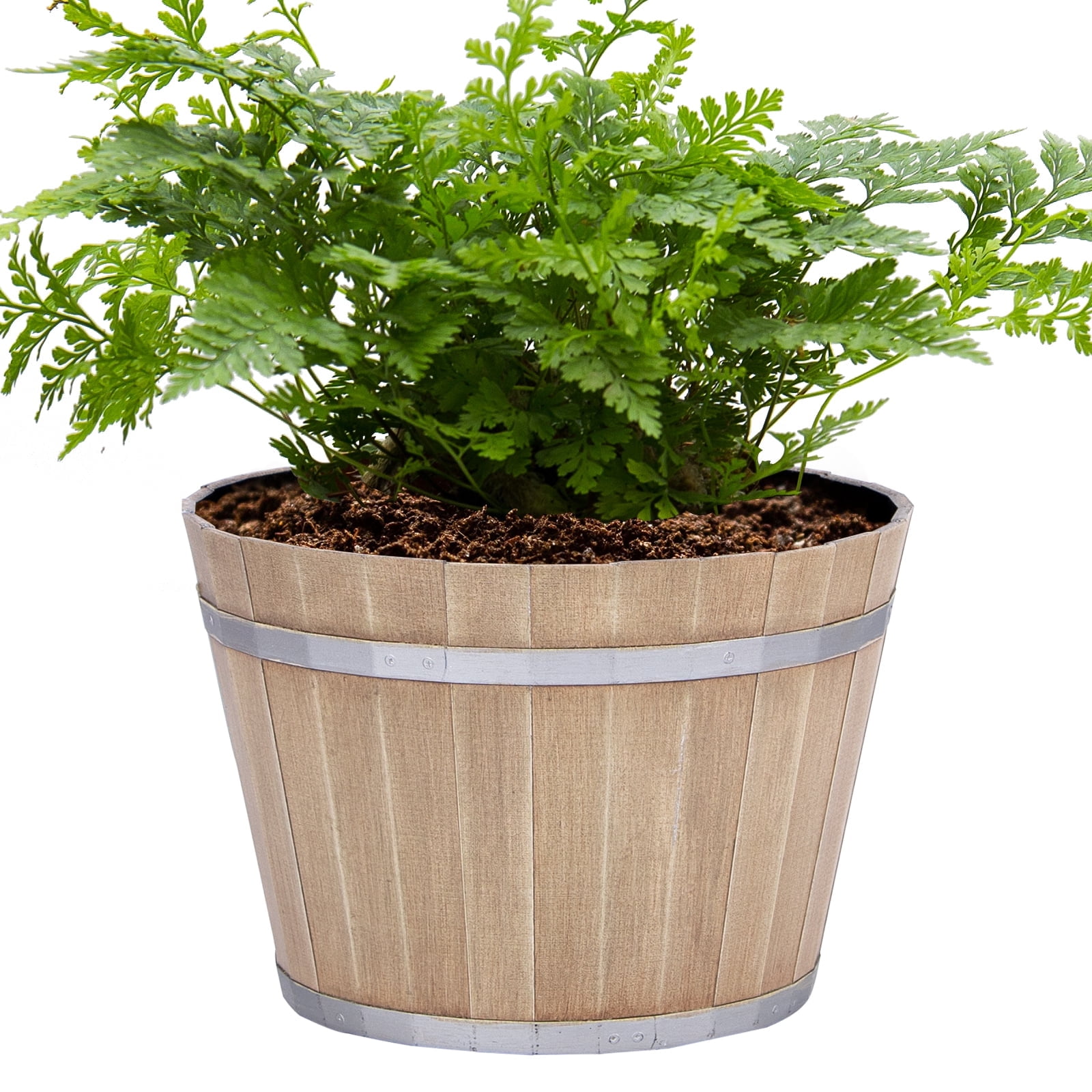 QCQHDU 8 inch Plant Pots, Whiskey Barrel Planters with Drainage Hole