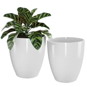 Plant Pots Set of 2 Pack,10 Inch Plant Pot for Indoor,Planter with Drainage Hole,Flower Pots Modern Round Planters for O