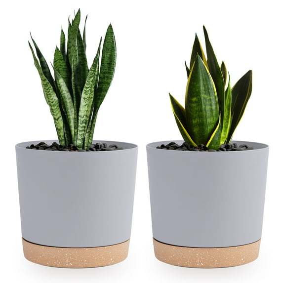 QCQHDU Plant Pots Set of 2 Pack 6.5 inch,Planters for Indoor Plants with Drainage Holes and Removable Base,Saucer Modern Decorative for Outdoor Garden Planters(Light Grey, 6.5 inch)