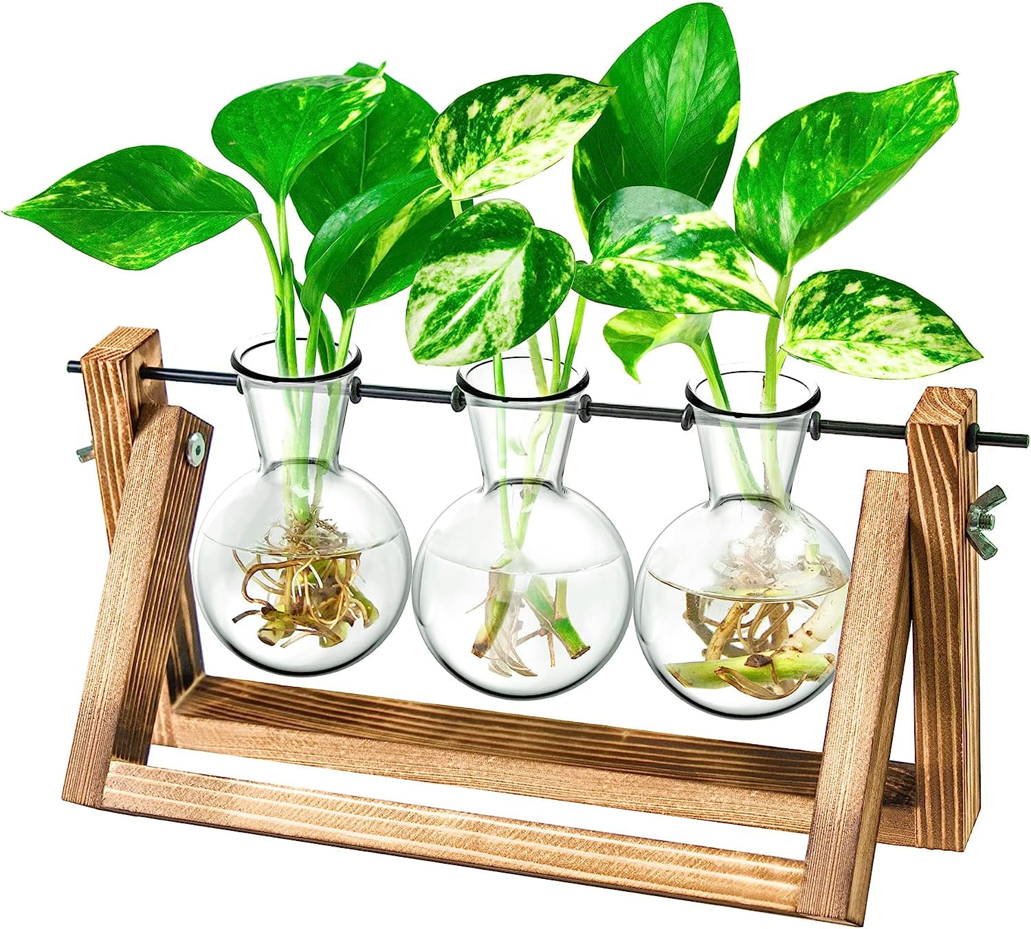 QCQHDU Plant Terrarium with Wooden Stand, Desktop Air Terrarium with