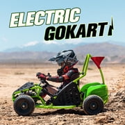 QEASET 48V Electric Go-Kart 1000W Brushless Motor, 20mph Max, 13" All-Terrain Tires, High-Tensile Steel Frame, 4-Point Seat Belt, 3-Speed Control, Hydraulic Disc Brake,Green