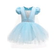 thumbnail image 1 of QEFJNO 3-8Y Princess Leotards for Girls Ballet Dance Tutu Skirted Ballerina Dress Birthday Party Dress Up, 1 of 10