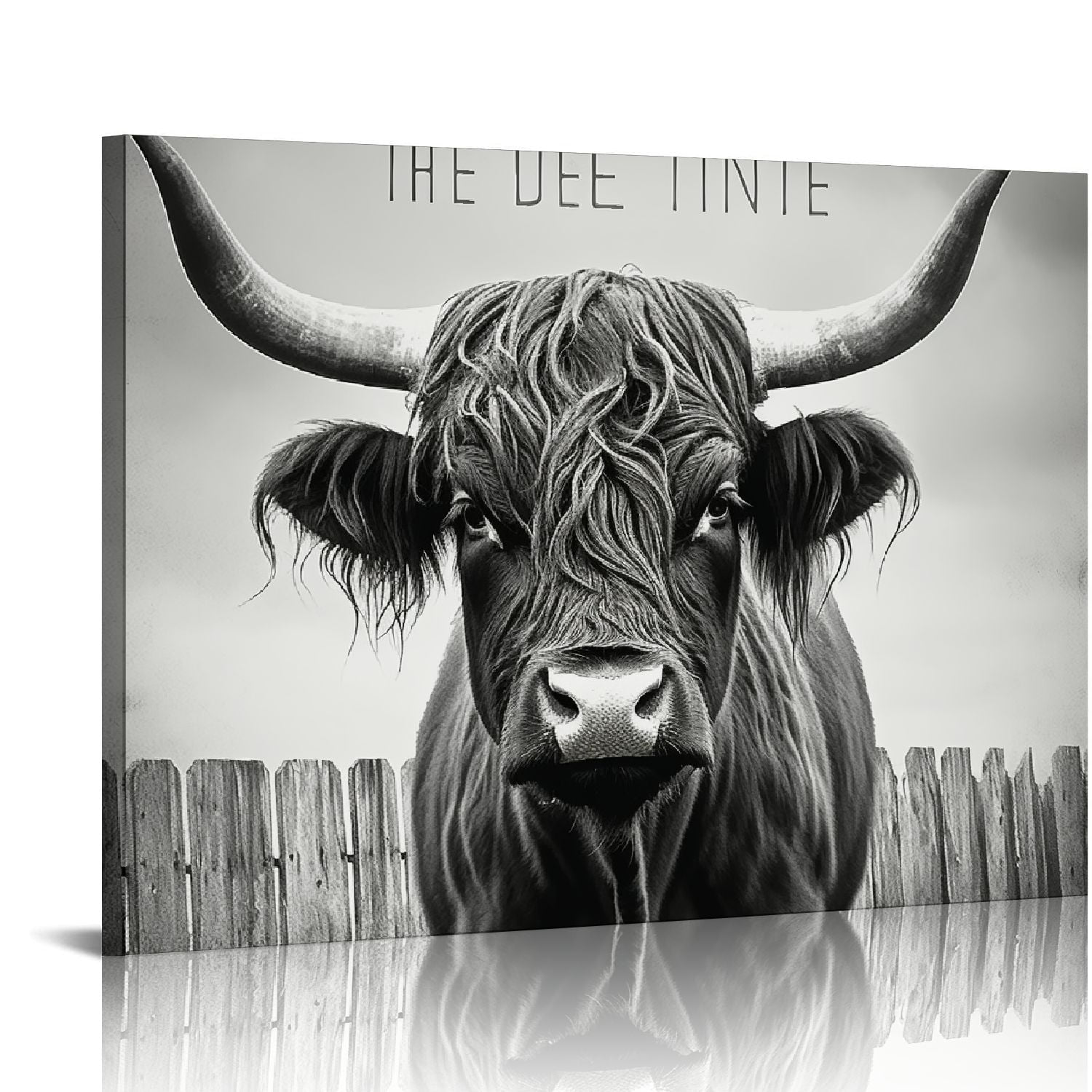 Highland Cow Black and White Canvas Wall Art 16x20