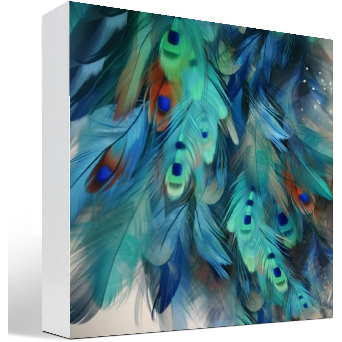 QFMY Feathers Birds Airbrush Painting Wooden Box Sign Decorative 5x5