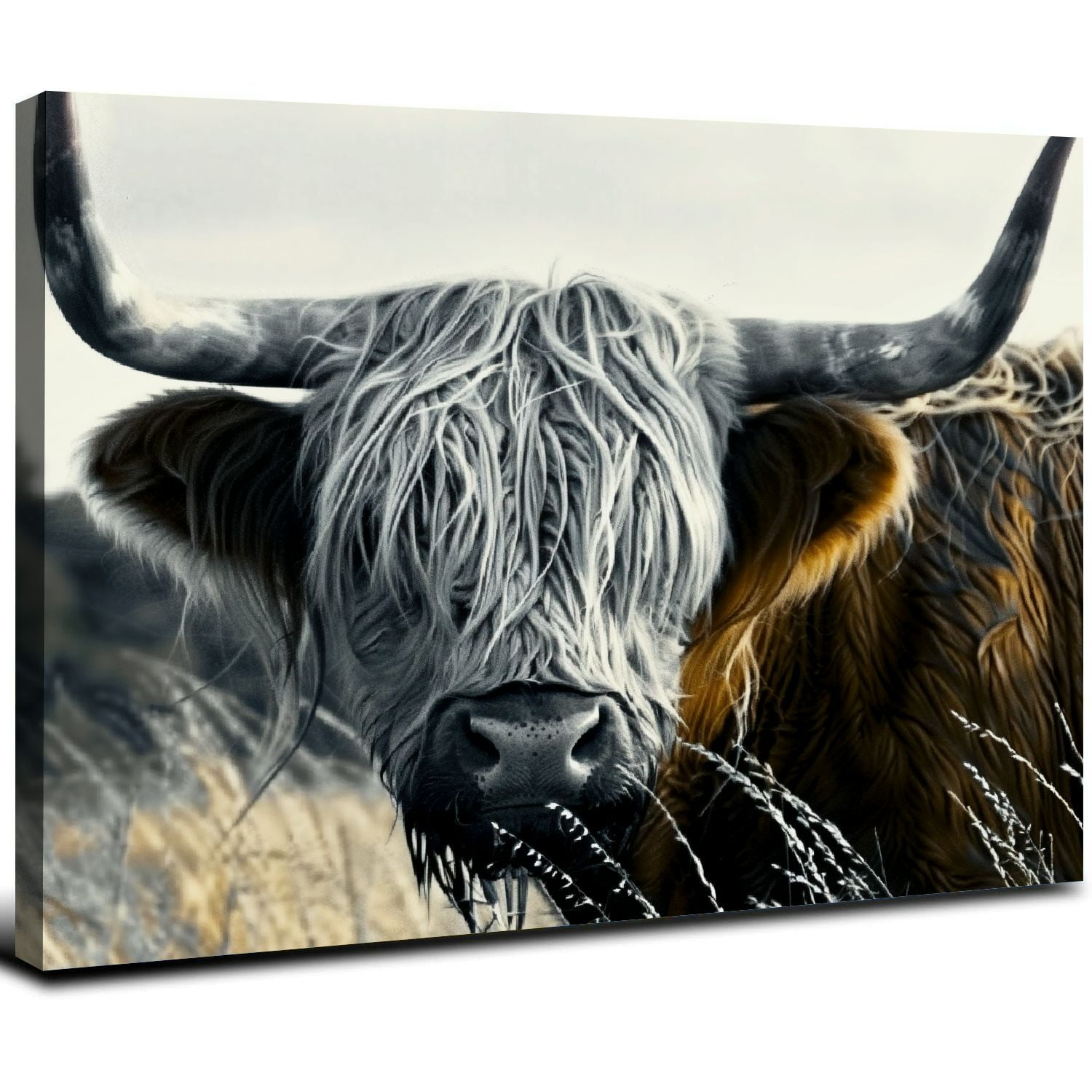 Framed Black and White Highland Cow Canvas Art Print, 16" x 12"