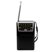 QFX Battery Portable AM/FM Radios