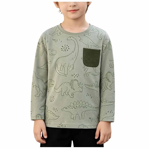 QGJZVUNL Boys Dinosour Printed Long Sleeve T Shirts Fall Casual Layer Tops Cartoon Round Neck Tshirts Size 2-3 Years