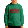 thumbnail image 1 of QHFBli Kid Boys Christmas Sweatshirt Merry Long Sleeve Outfit Shirt Chenille Patch Xmas Holiday Crewneck Pullover Top Green 9-10 Years, 1 of 5