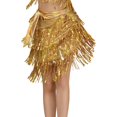 thumbnail image 1 of QHFBli Women‘s Latin Dance Hip Scarf with Tassels Belly Tango Dance Skirt Fringe Sequins Wrap Skirt Music Festival Clothing, 1 of 4