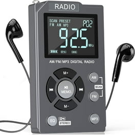 Panasonic RF-2400 AM/FM AC/DC Portable Radio