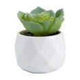 thumbnail image 1 of QHUDLV Artificial Cactus Plant,Small Faux Pot,Mini Home Decor, 1 of 8