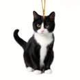 thumbnail image 1 of QHUDLV Black Cat Christmas Ornament 2D Acrylic Hanging Xmas Decor, 1 of 9