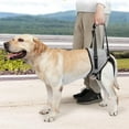 thumbnail image 1 of QHUDLV Dog Assistance Strap for Large Dogs Soft Padded Adjustable Dog Back Leg Nice S3, 1 of 8