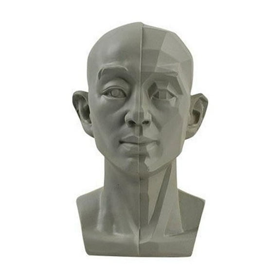 QHUDLV Planar Head Model,Artist Face Planes,Learning Reference Tool