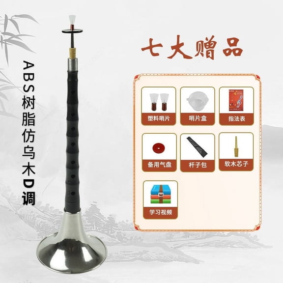 QIDITONG Traditional Chinese Wind Instrument Set for Music Practice, Beginner-Friendly Instrument for Traditional Chinese Music