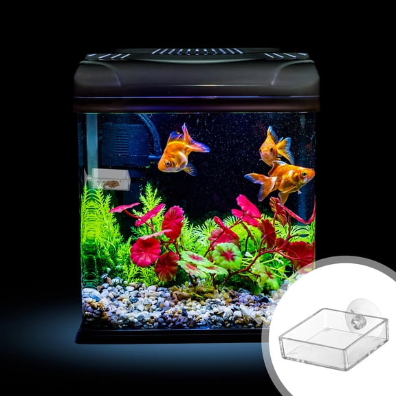 QIFULL 4Pcs Fish Tank Feeding Tray with Strong Suction Cup Transparent Acrylic Feeder Bowl for Aquarium