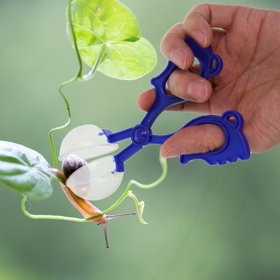 QIFULL Children Outdoor Toy Bug Catching Set Assorted Color 3pcs