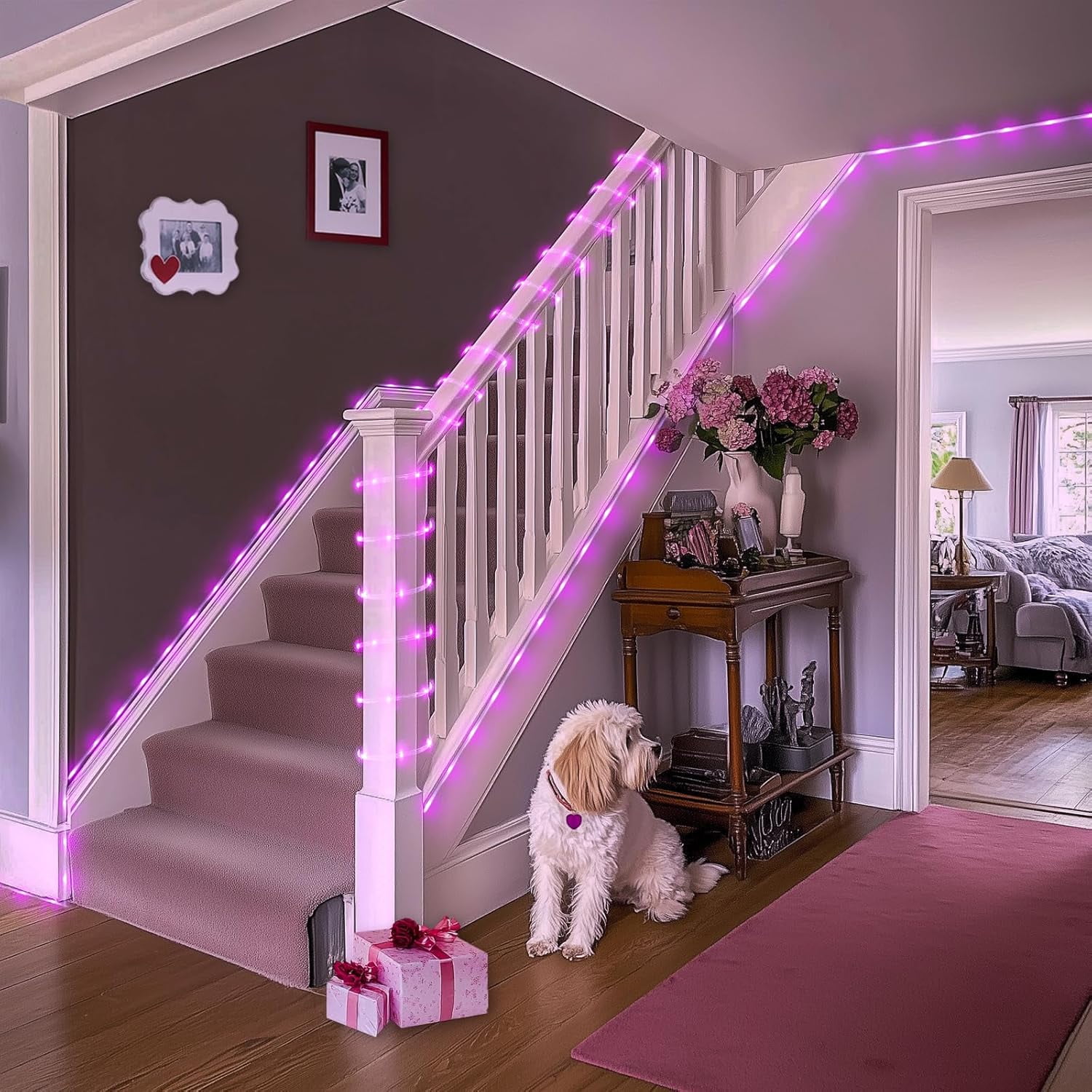 QIHE-200 LED Pink Rope Lights for Valentines, Valentines Day Lights ...