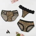 thumbnail image 1 of QIPOPIQ Underwear for Women Plus Size Leopard Print Translucent Sheer Lace Tank Lace Sexy Underpant Panties, 1 of 9
