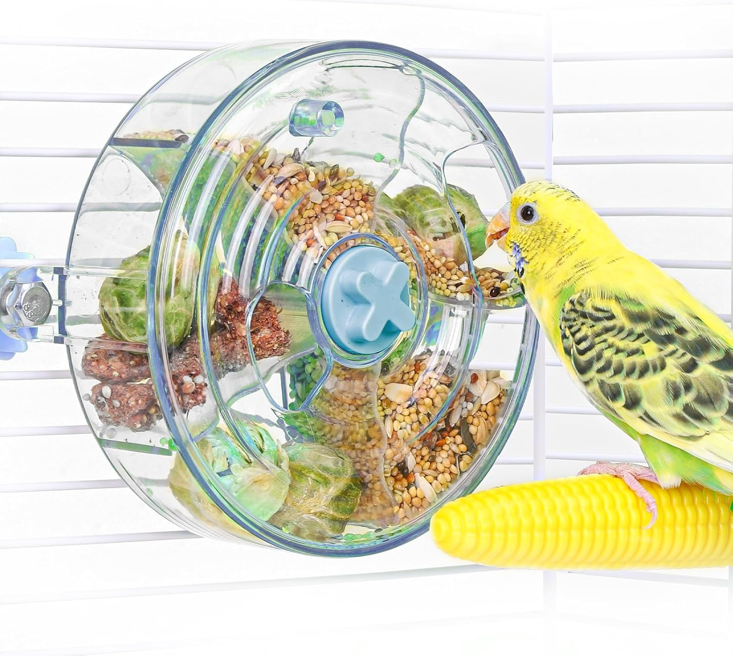 The Complete Guide to Budgerigar Nutrition: What Your Parakeet Can and ... - Budgie Foraging Foods