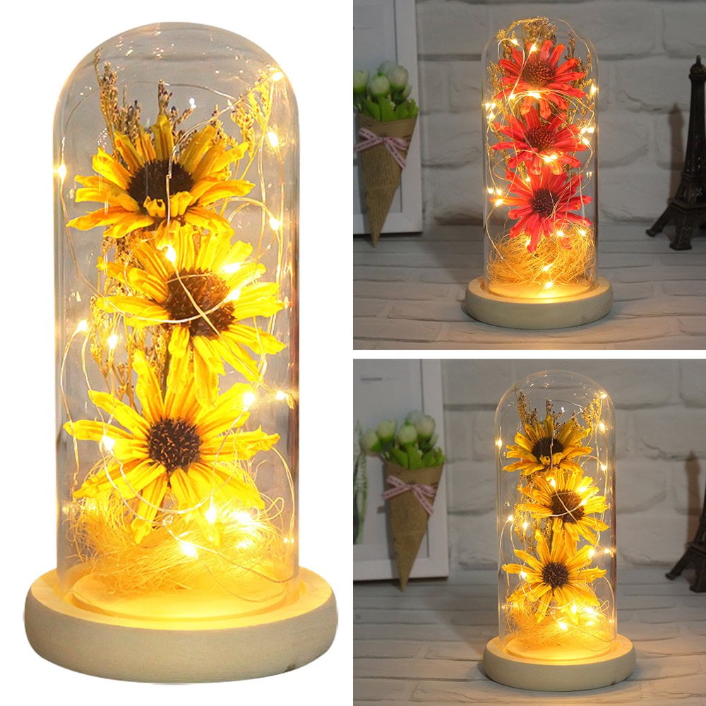 QJUHUNG Christmas Rose Gift Light Up Beauty and The Beast Rose