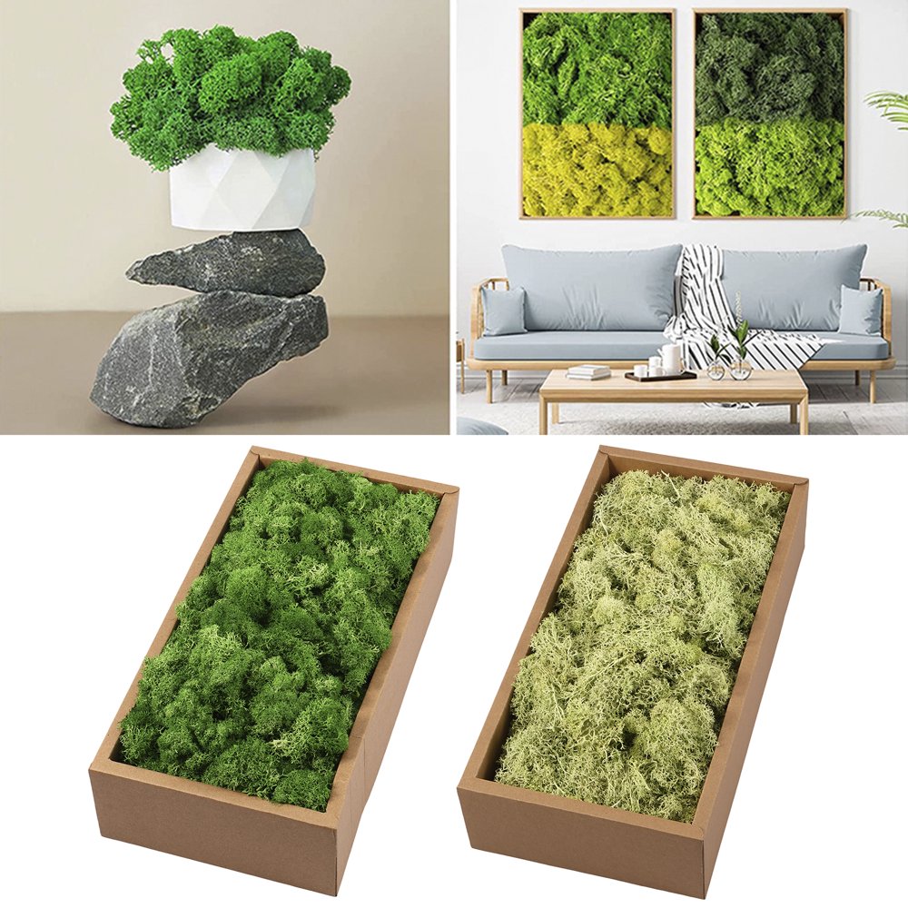 QJUHUNG Moss Decoration Lightweight Eternal Moss Craft Soft Green Moss