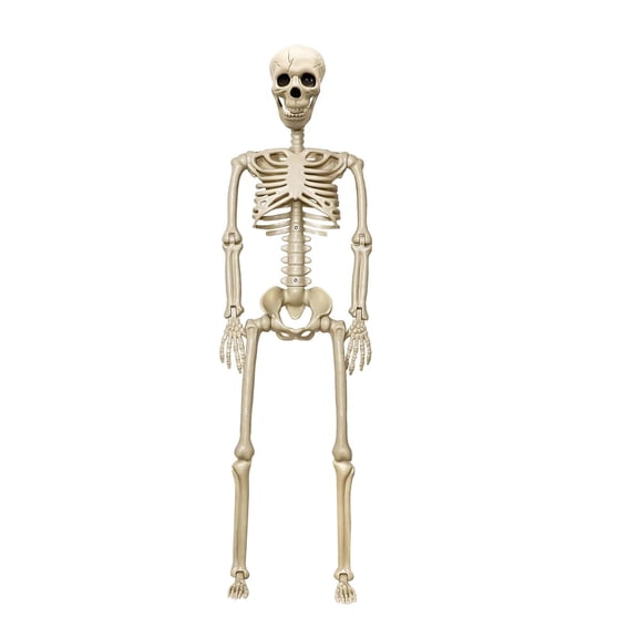QLUEWX 36" Halloween Skeleton Decor 1PC, Full Body Posable Joints Life Size Skeleton, Realistic Human Skeleton Prop with Movable Arms Legs for Haunted House Yard Porch Indoor Outdoor Halloween Decor